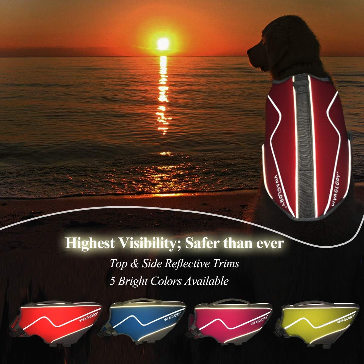 Neoprene Dog Life Jacket 