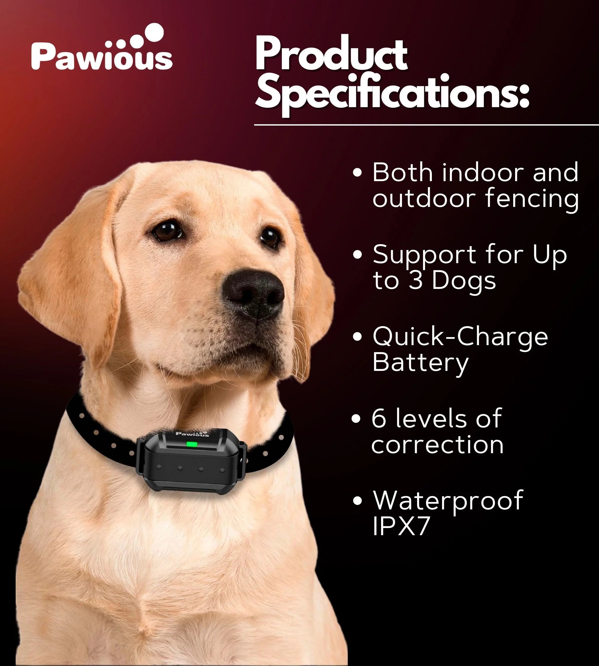 Wireless Dog Fence