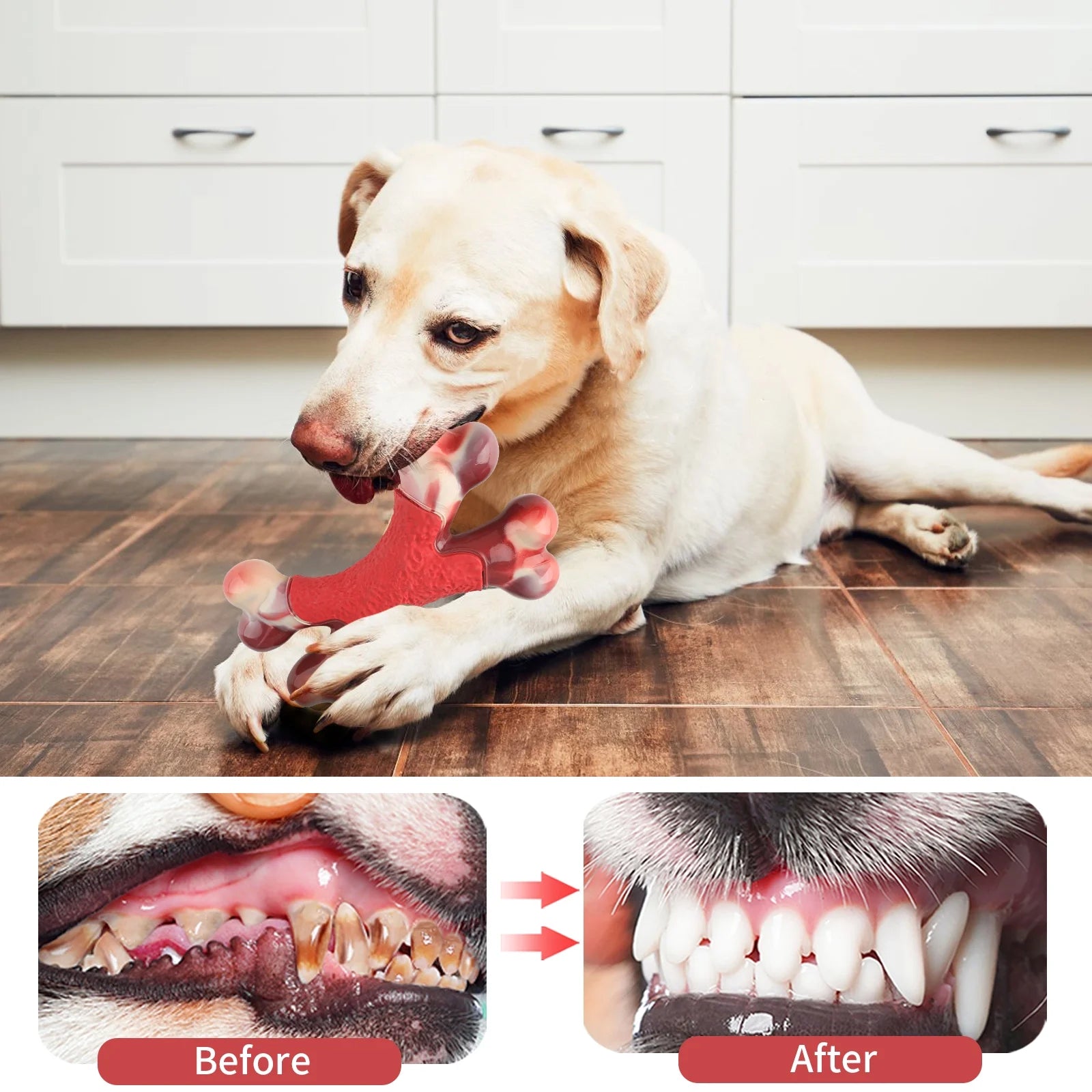 Tough Nylon Bone for Big Dogs