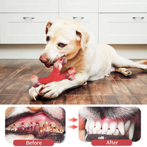 Tough Nylon Bone for Big Dogs