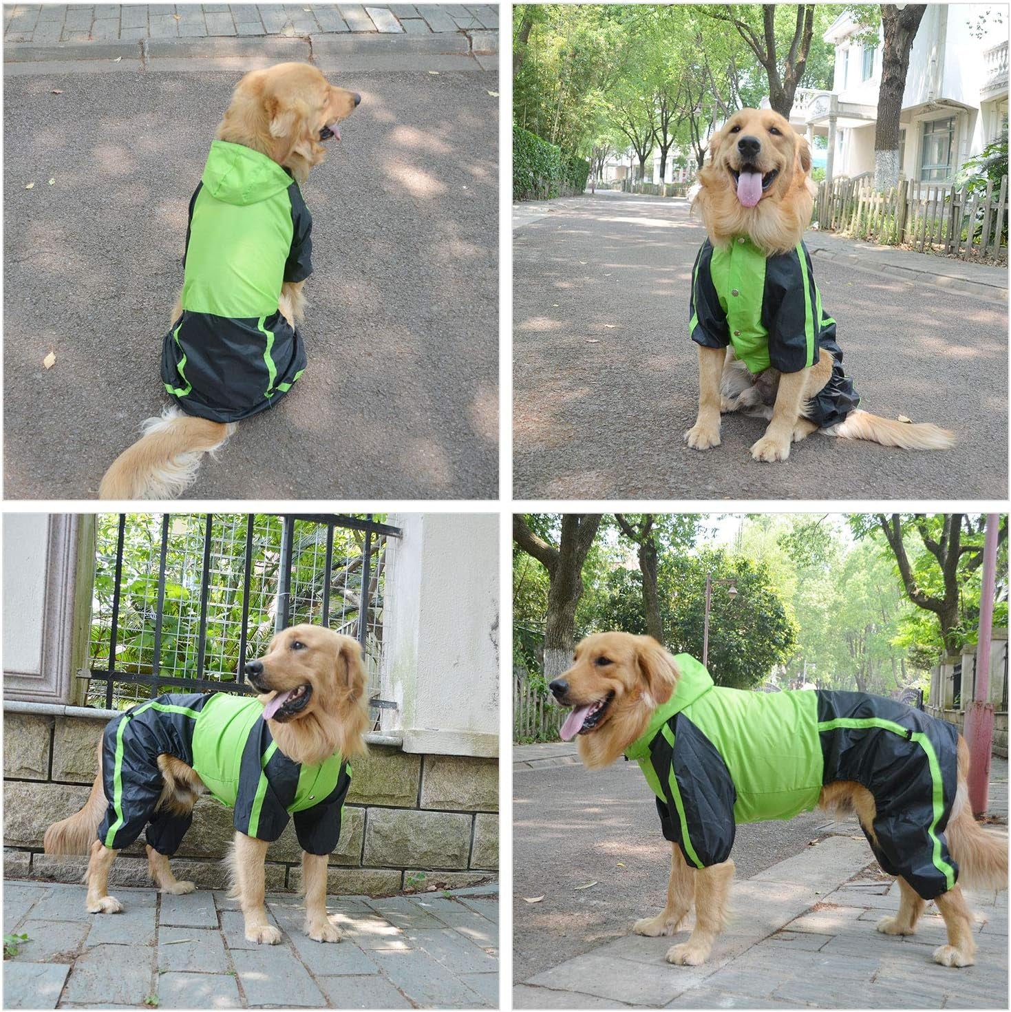RainRover XL Raincoat for Big Dogs