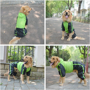 RainRover XL Raincoat for Big Dogs