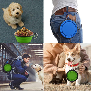 Large Collapsible Dog Bowls