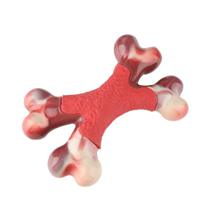 Tough Nylon Bone for Big Dogs
