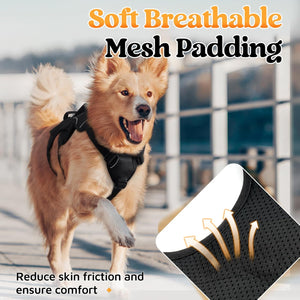 Big Dog Escape Proof Harness