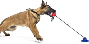 TugTough Suction cup Big Dog Toy