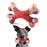 Tough Nylon Bone for Big Dogs