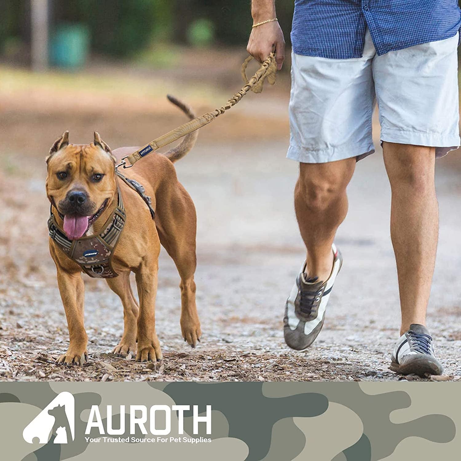 Bungee Dog Leash for Shock Absorption 