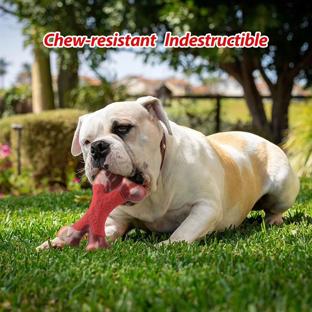 Tough Nylon Bone for Big Dogs