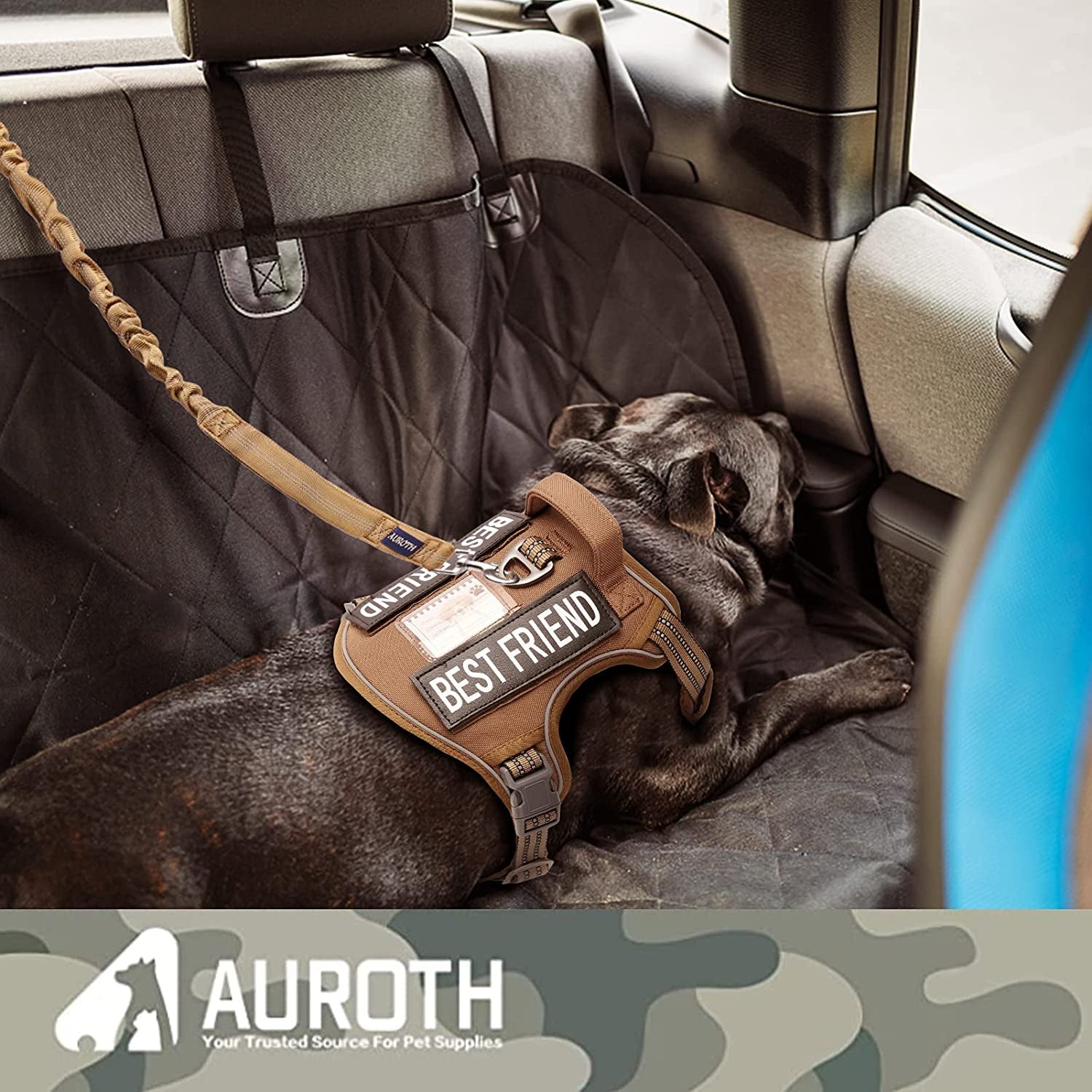 Bungee Dog Leash for Shock Absorption 