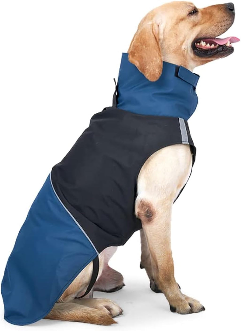 Windproof Dog Winter Jacket