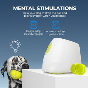 Automatic Dog Ball Launcher 