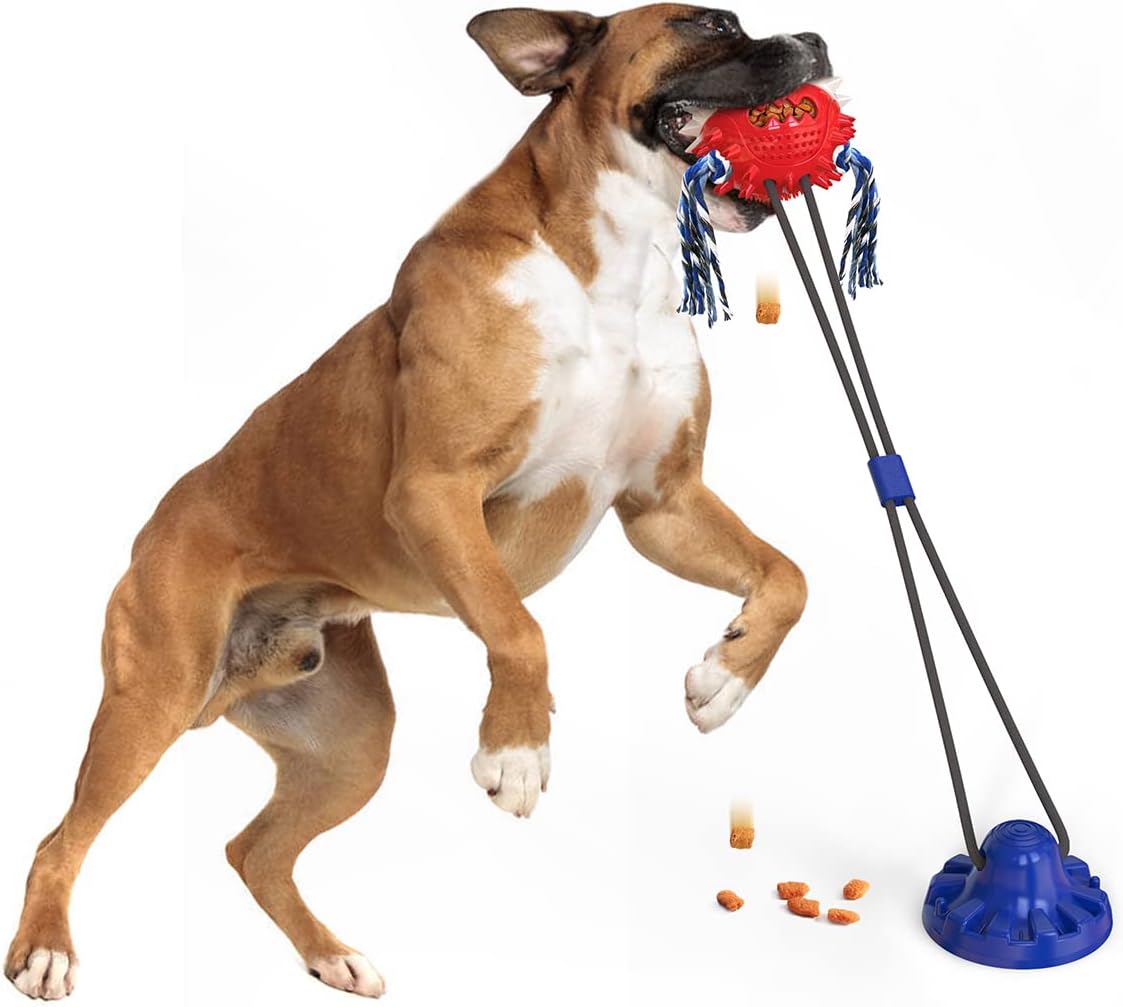 TugTough Suction cup Big Dog Toy