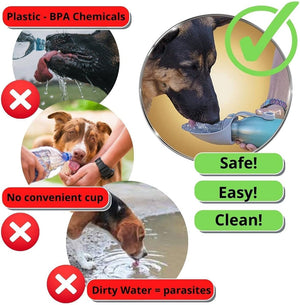20 OZ Stainless Steel Dog Water Bottle