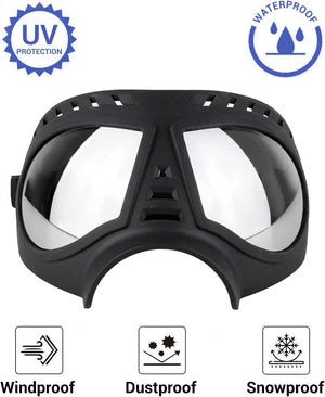 Cool Big Dog Googles