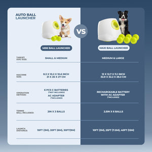 Automatic Dog Ball Launcher 