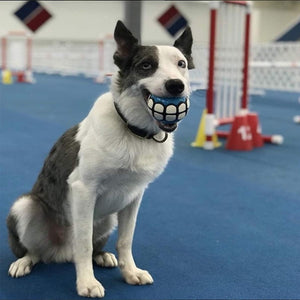 Funny Toothy Grin Squeaky Ball