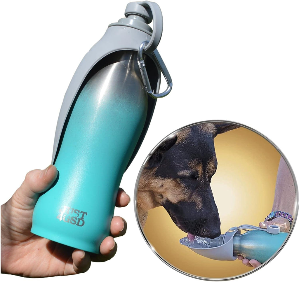20 OZ Stainless Steel Dog Water Bottle