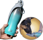 20 OZ Stainless Steel Dog Water Bottle