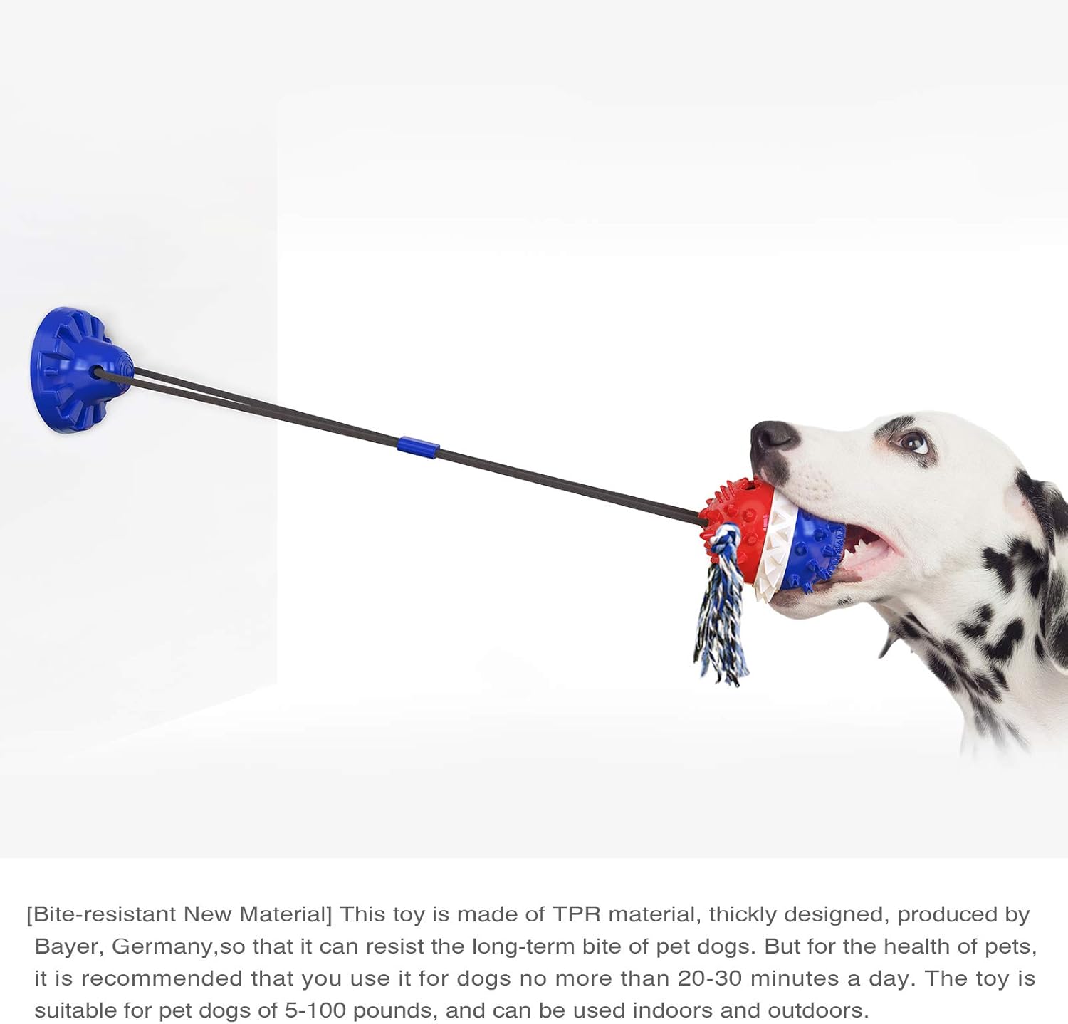TugTough Suction cup Big Dog Toy