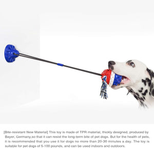 TugTough Suction cup Big Dog Toy