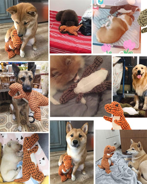 DinoChew Squeak Toy