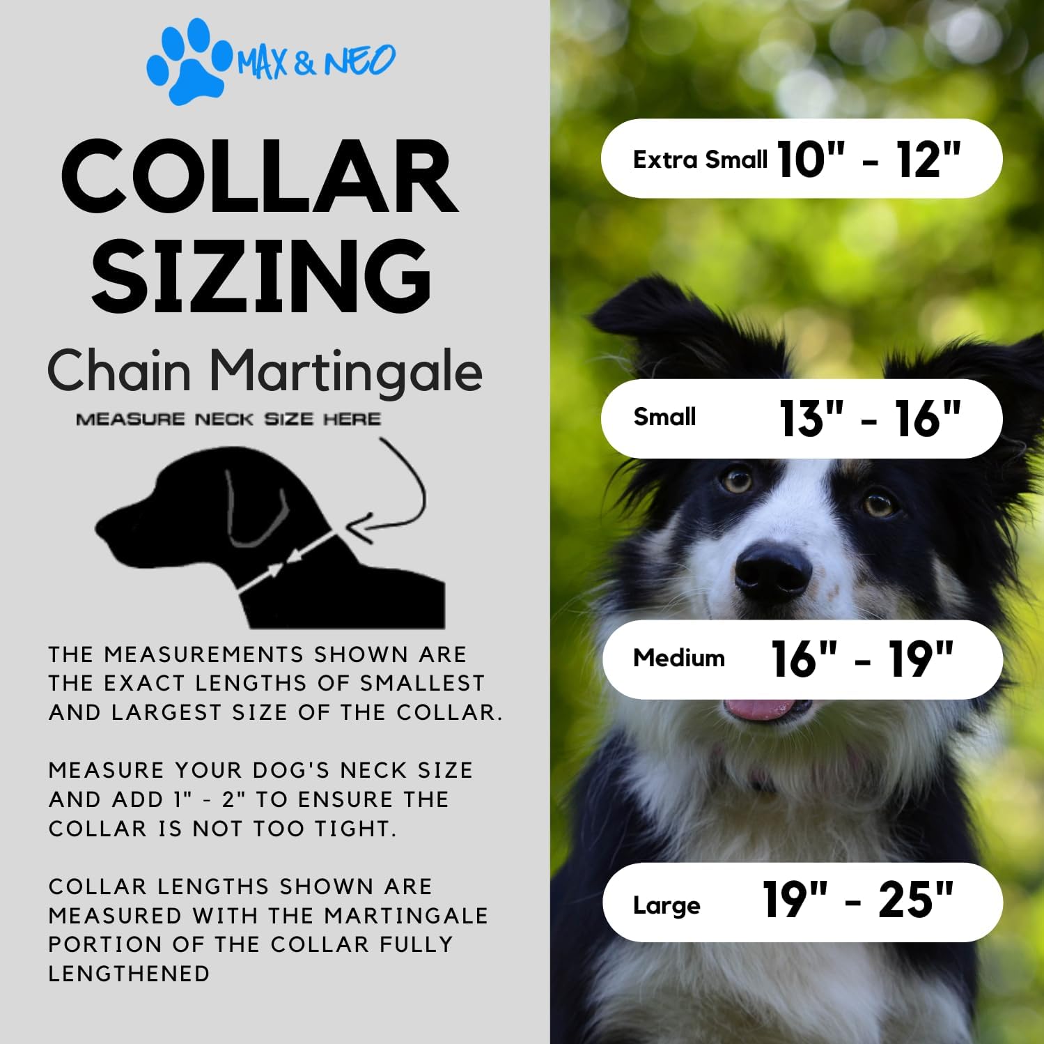 Martingale Collar for big dogs