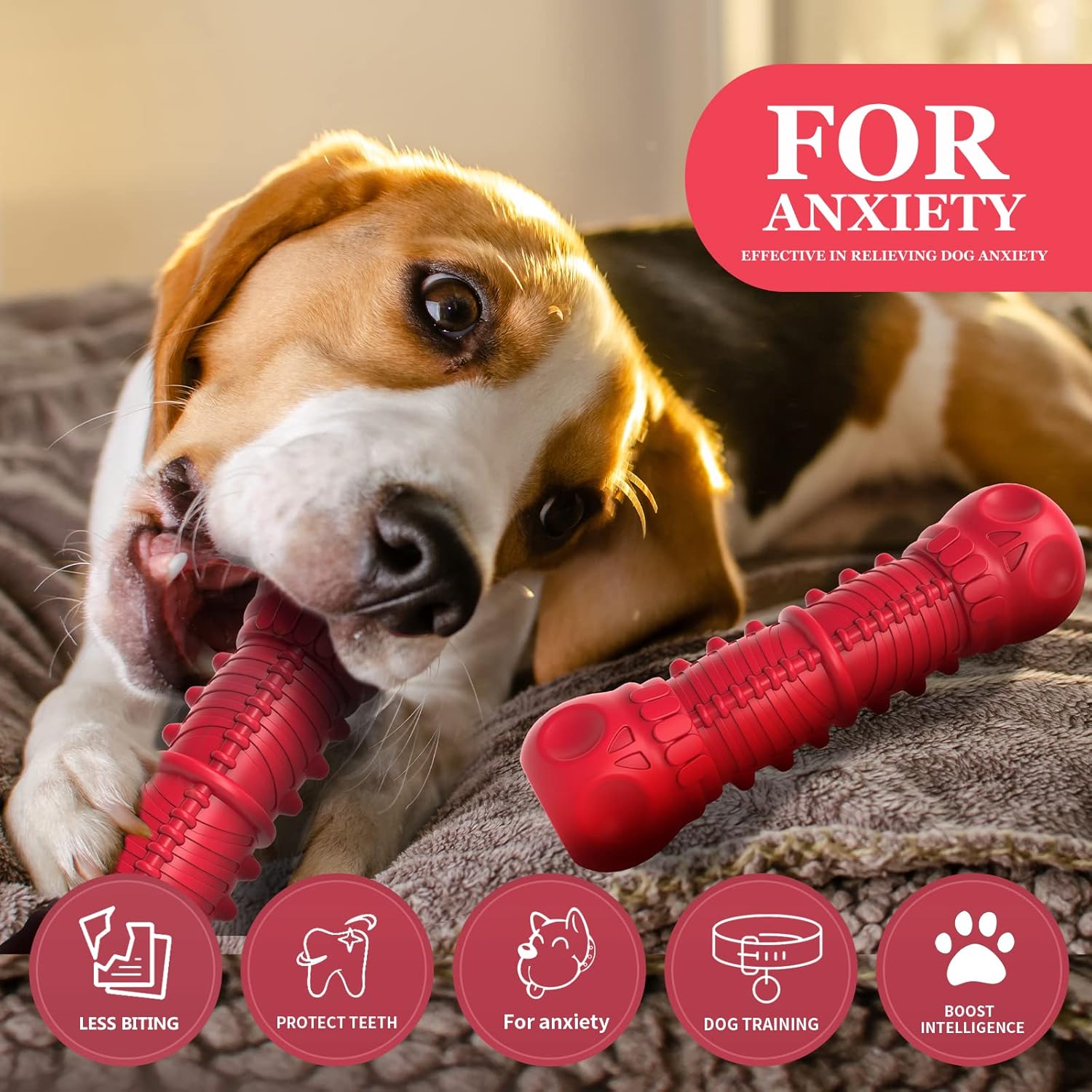 Durable Big Dog Squeak toy for aggressive chewers