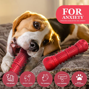 Durable Big Dog Squeak toy for aggressive chewers