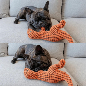 DinoChew Squeak Toy