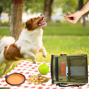 Big Dog training pouch