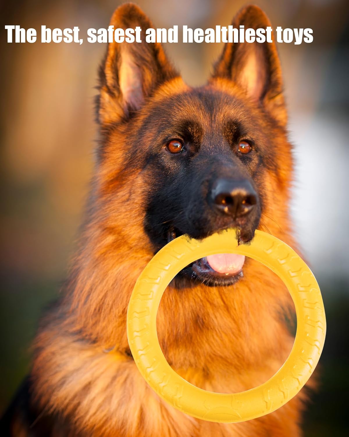 Durable Big Ring Chew Toy