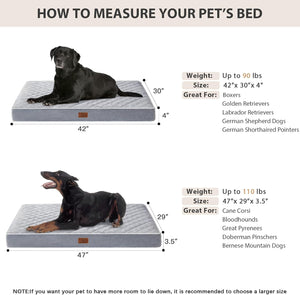 Orthopedic Dog Beds for Large Dogs