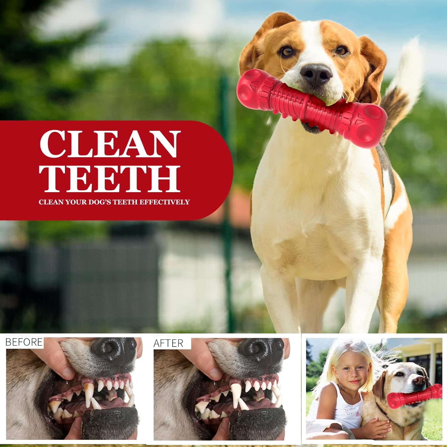 Durable Big Dog Squeak toy for aggressive chewers