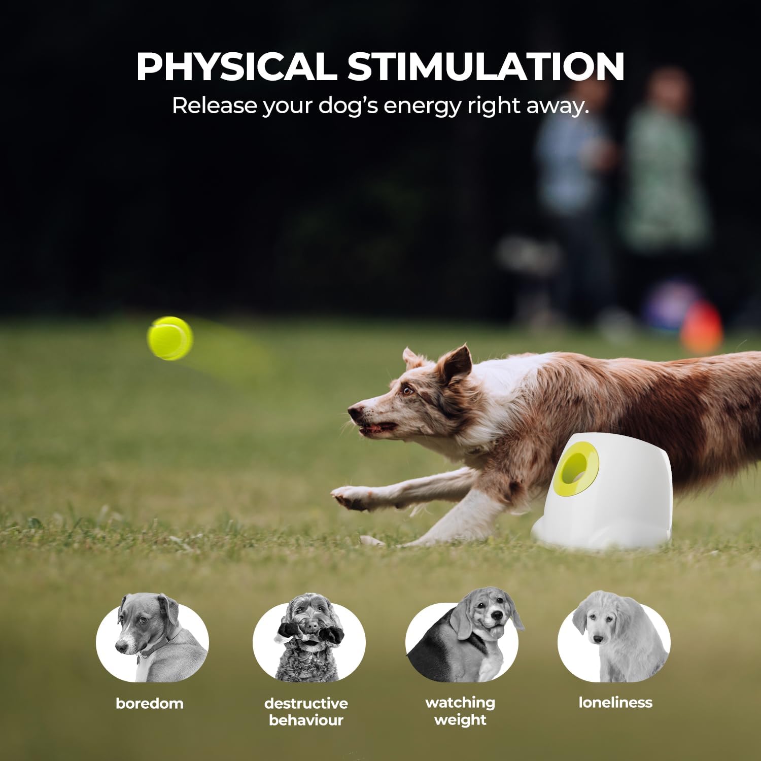Automatic Dog Ball Launcher 