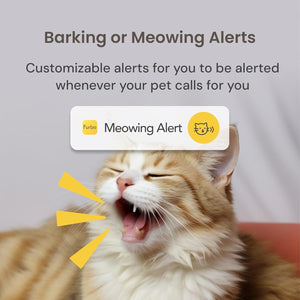 PawVision Mini-Smart Dog Camera