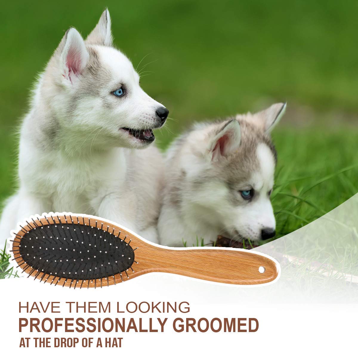 Double Sided Dog Brush