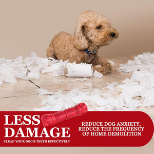 Durable Big Dog Squeak toy for aggressive chewers