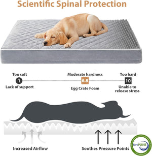 Orthopedic Dog Beds for Large Dogs