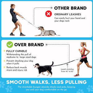 Hands Free Double Dog Leash 