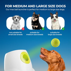 Automatic Dog Ball Launcher 