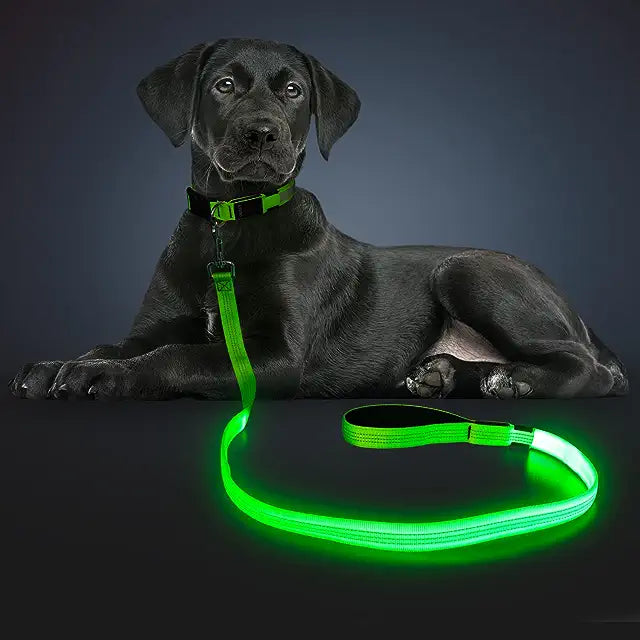 Rechargeable LED Nylon leash