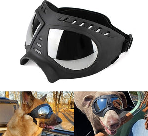 Big Dog eye protection glasses