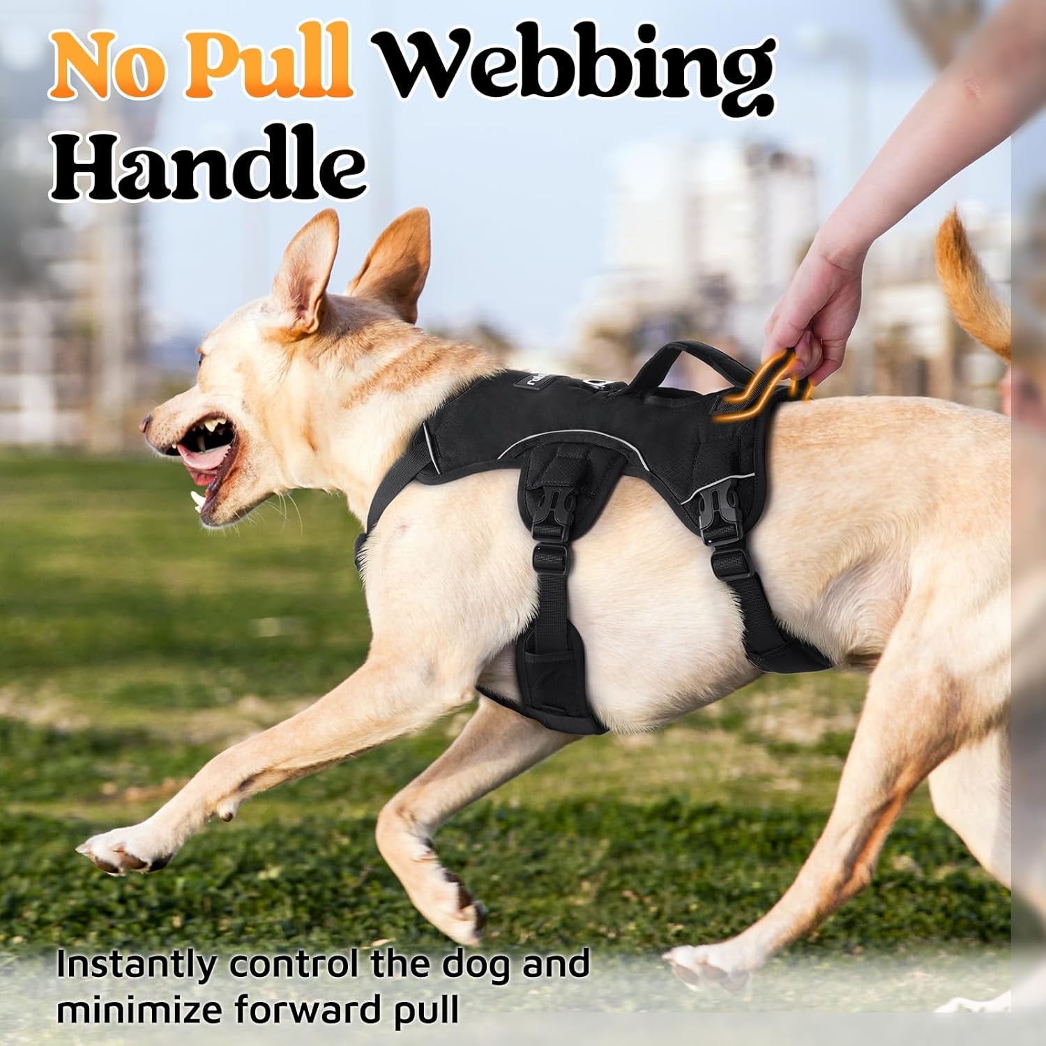 Big Dog Escape Proof Harness
