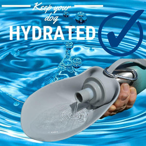 20 OZ Stainless Steel Dog Water Bottle