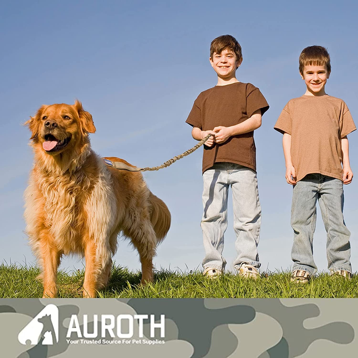 Bungee Dog Leash for Shock Absorption 
