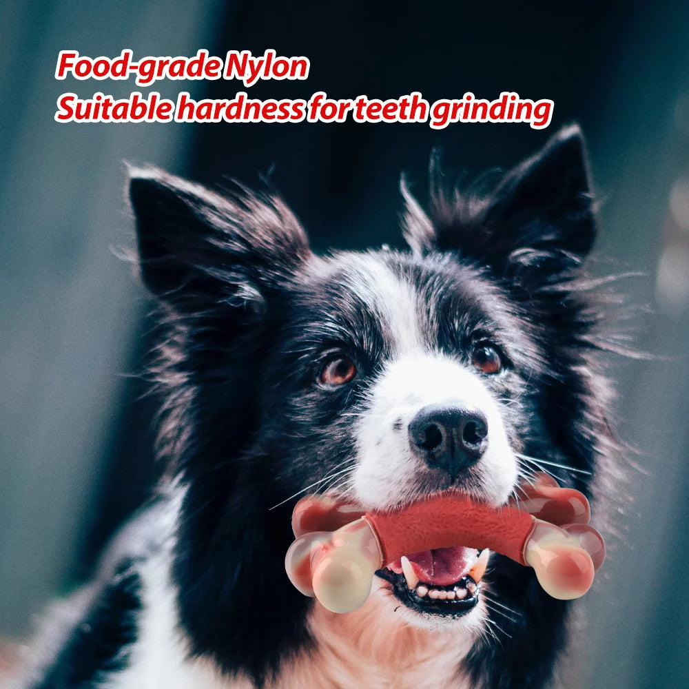 Tough Nylon Bone for Big Dogs