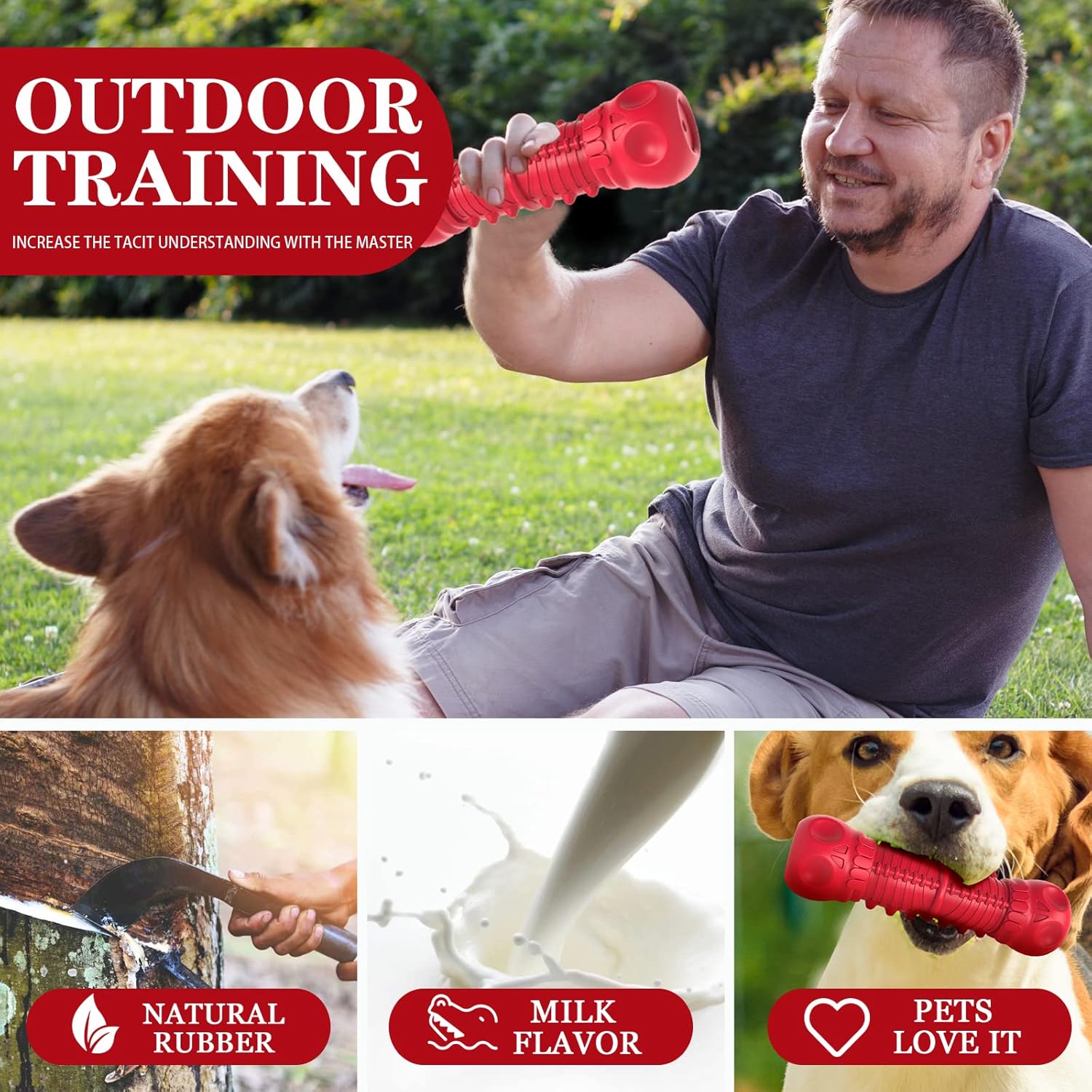 Durable Big Dog Squeak toy for aggressive chewers