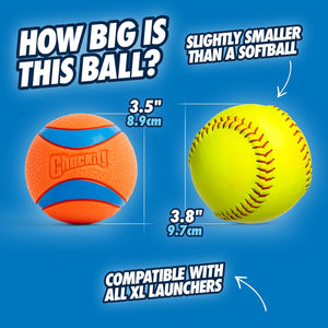 Ultra Ball Dog Toy 