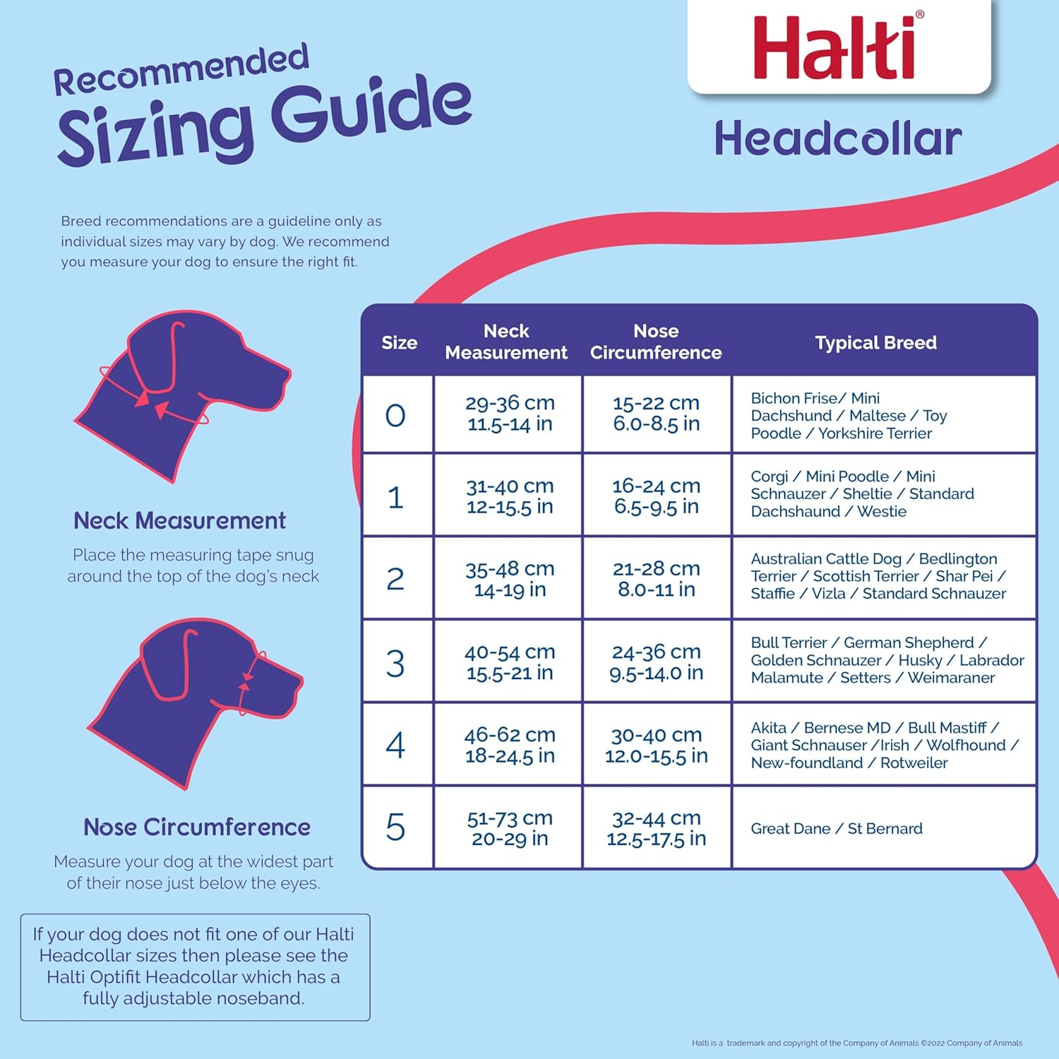 HALTI Headcollar 